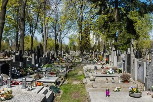 Jak sprawdzić datę pogrzebu w Gdańsku i uniknąć nieporozumień
