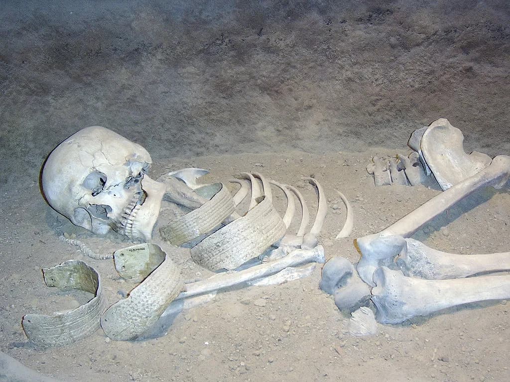 Jak długo rozkłada się człowiek po śmierci? Zaskakujące fakty o procesie