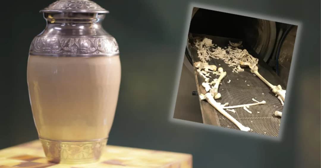 Co zamiast kremacji? Odkryj alternatywy, które mogą Cię zaskoczyć