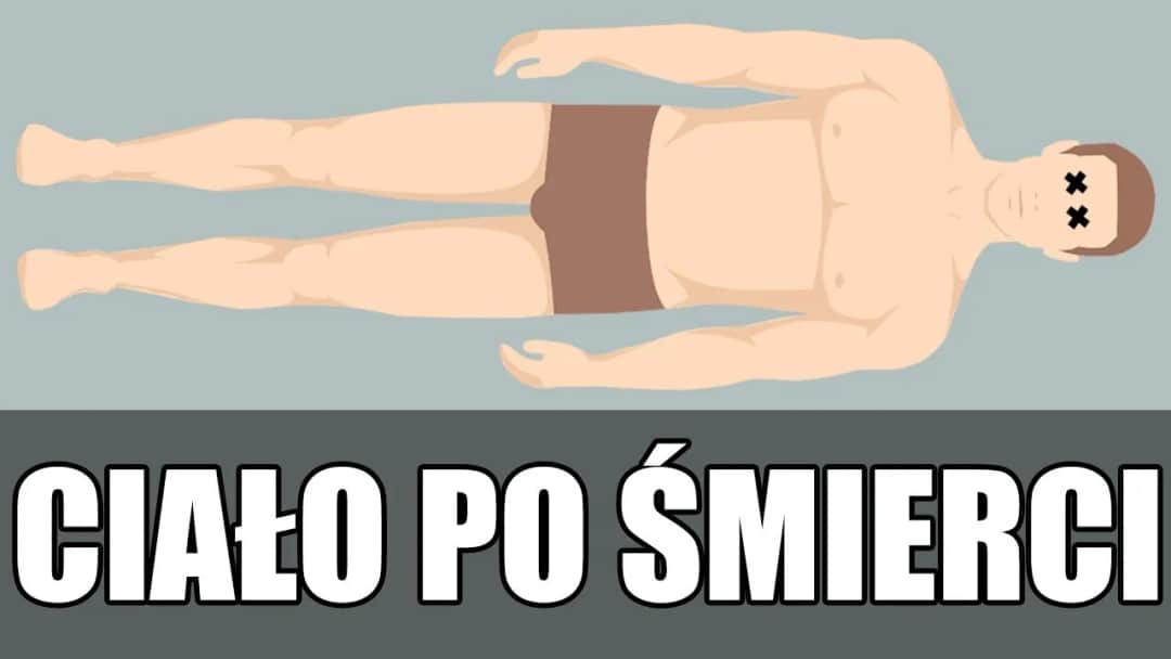 Co się dzieje z ciałem po pogrzebie? Etapy rozkładu, które zaskakują