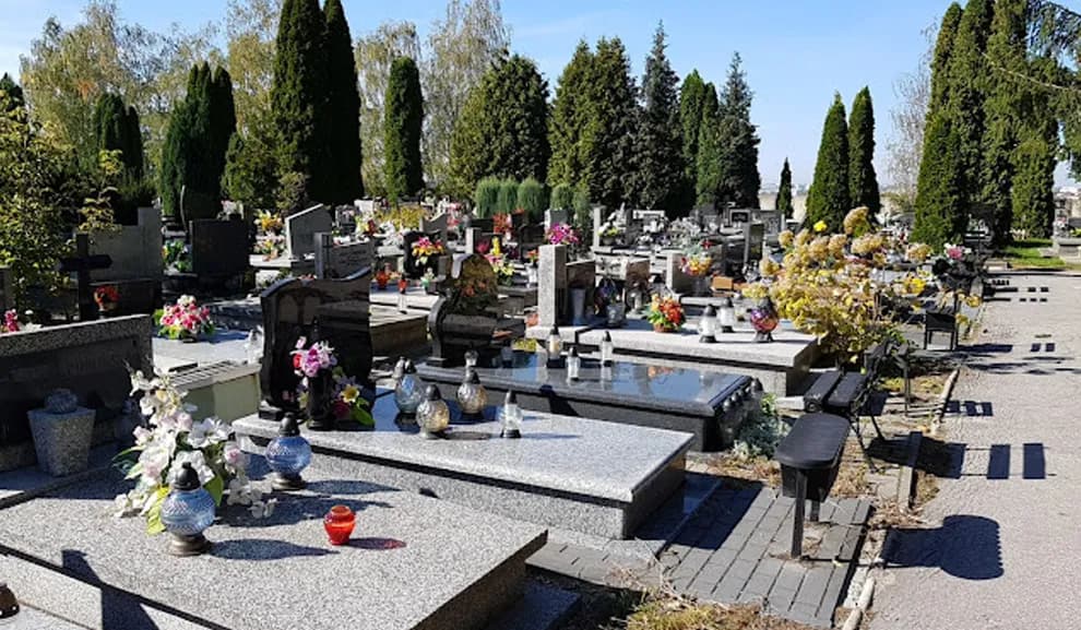 Czy można z psem na cmentarz? Sprawdź przepisy i zasady w Polsce