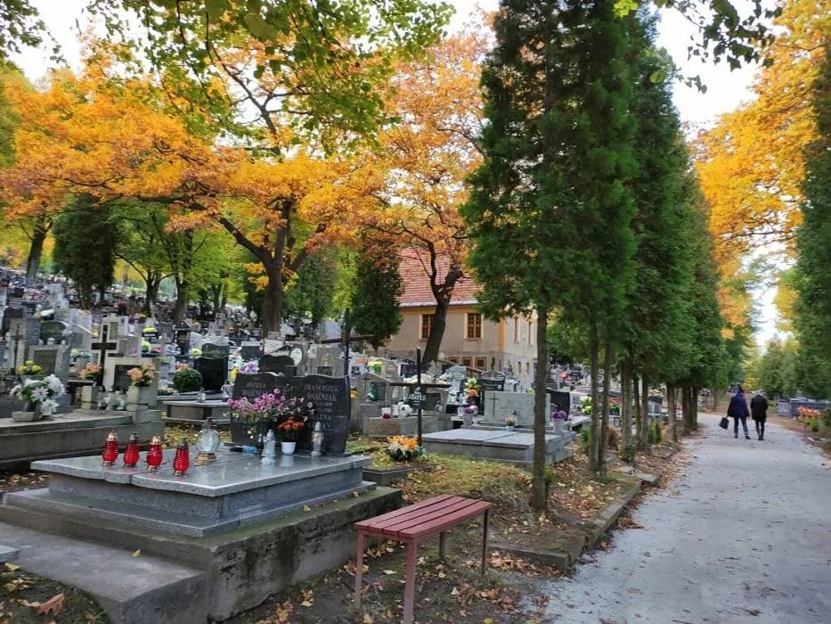 Jak znaleźć zmarłego na cmentarzu Wałbrzych - skuteczne metody i źródła