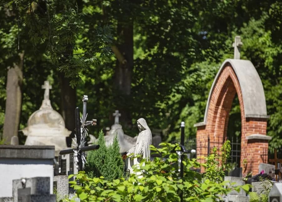 Jak dojechać na cmentarz Salwator w Krakowie mimo utrudnień?